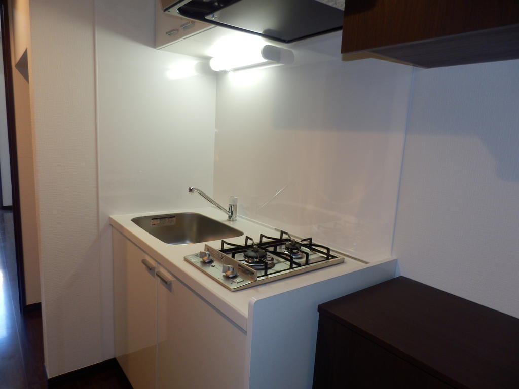 Kitchen. Two-burner gas stove (city gas)