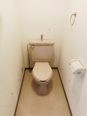 Toilet. I toilets are simple.