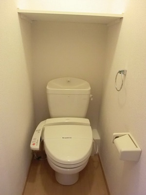 Toilet. Toilet seat with a cleaning function