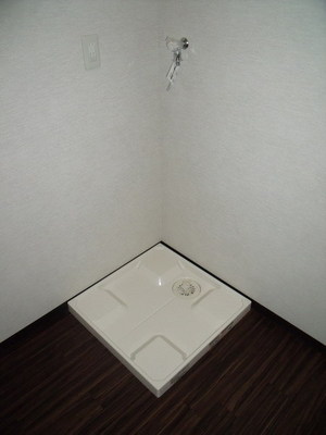 Washroom. It is indoor washing machine Storage