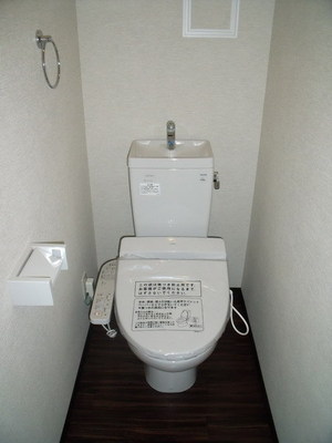 Toilet. Bidet type toilet