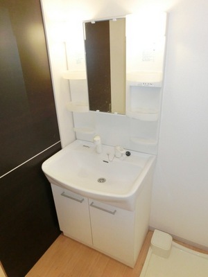 Washroom. Bathroom Vanity