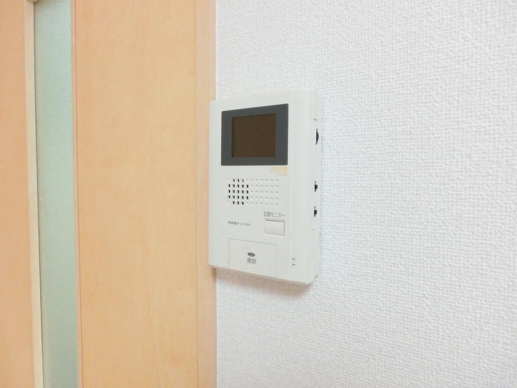 Security. Monitor with TV phone
