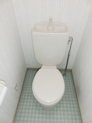 Toilet. It is a toilet with a clean.