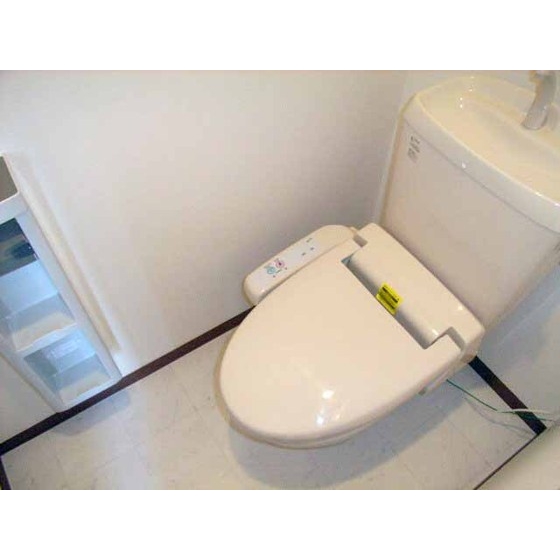 Toilet. With warm water washing toilet seat