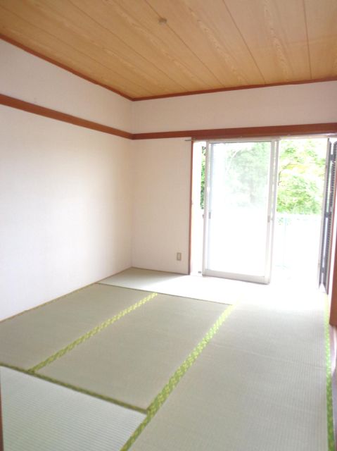 Living and room. Tatami is shiny.