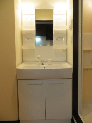 Washroom. Shampoo dresser