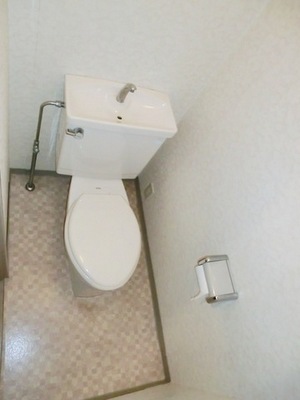 Toilet. Standard toilets