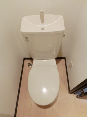 Toilet. I toilets are simple.