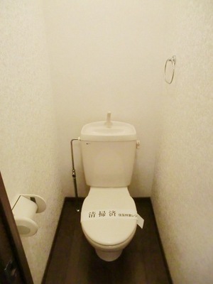 Toilet. Standard toilets