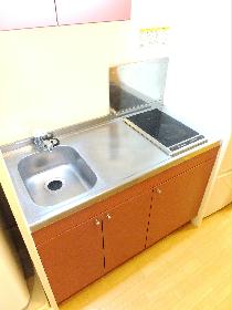 Kitchen. Electric cooker 2-neck