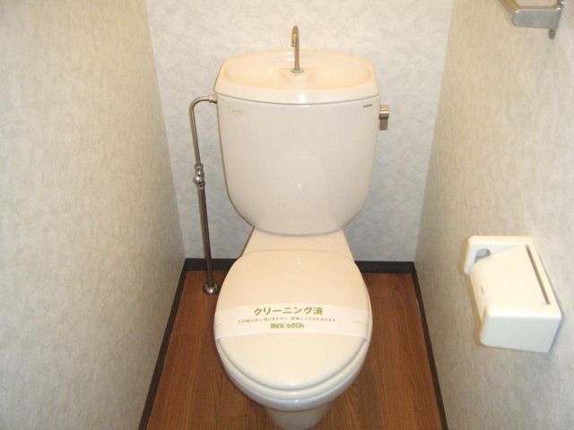 Toilet. Toilet