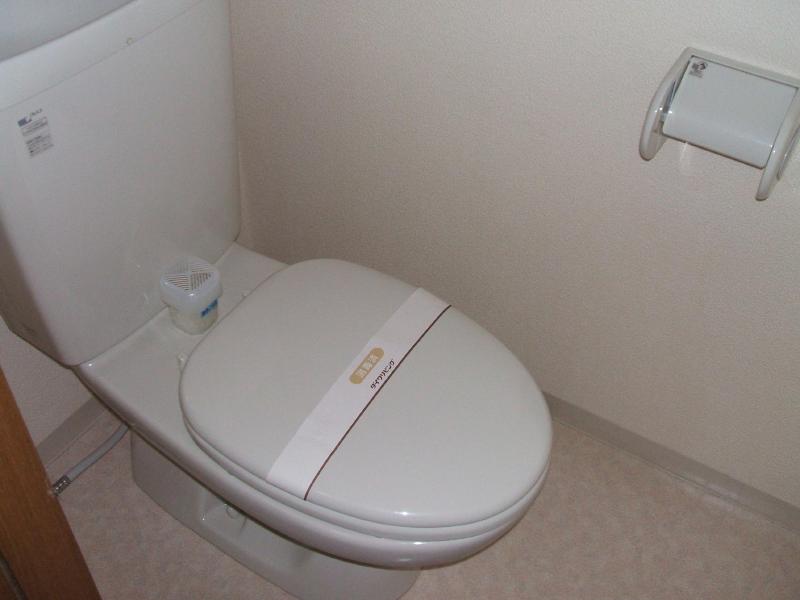 Toilet. It is a toilet with a clean!