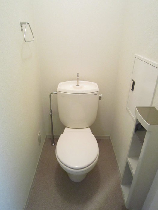 Toilet. There is storage space in the toilet