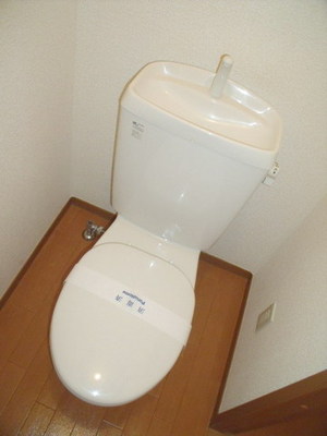 Toilet. It is another popular bus toilet