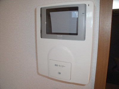 Entrance. TV Intercom