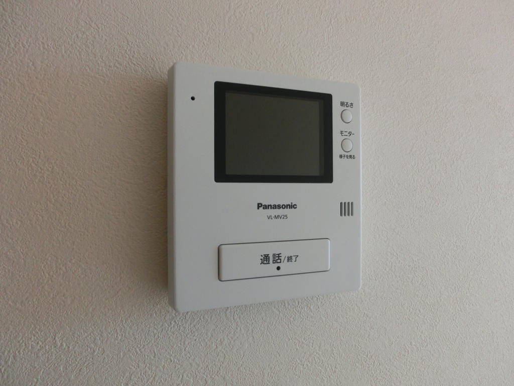 Security. Monitor with intercom