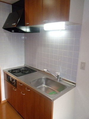 Kitchen. Two-burner stove is equipped with a kitchen