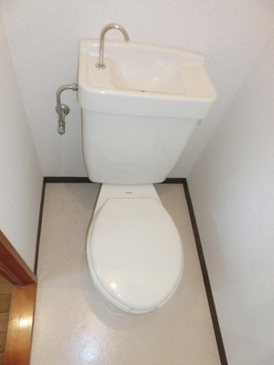 Toilet. Toilet