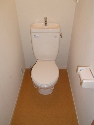 Toilet. Toilet