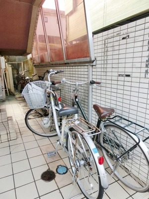 Parking lot. Bicycle parking space