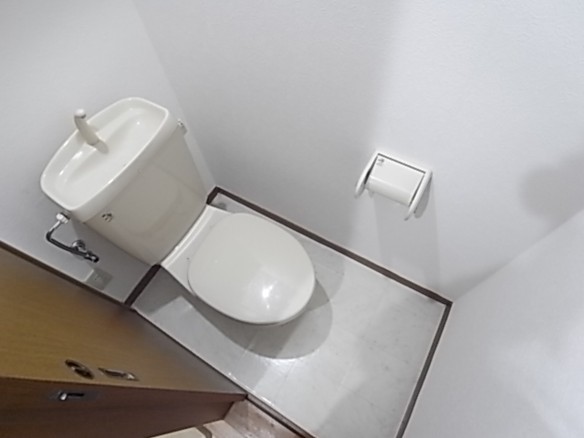 Other room space. It is a toilet with a clean