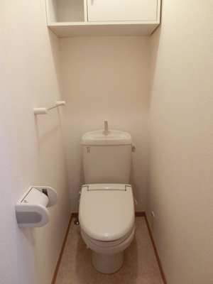 Toilet. Toilet with storage