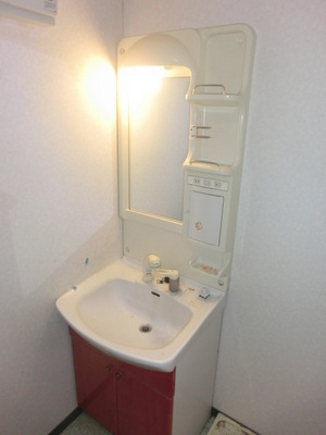 Washroom. Shampoo dresser