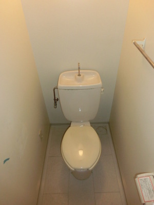 Toilet. Separated toilet