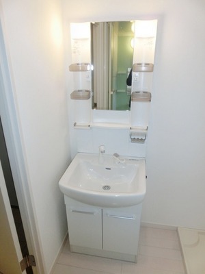 Washroom. It comes with shampoo dresser