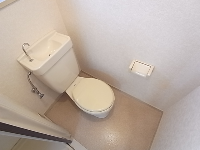 Other. It is a toilet with a clean