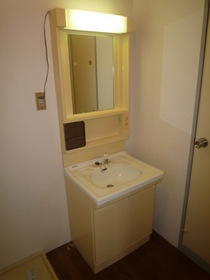 Washroom. Reference photograph (It is a photograph of the inverted type of room)