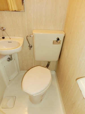 Toilet. It is a simple toilet.