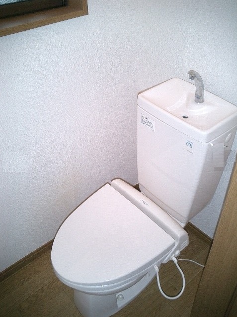 Toilet. A heated toilet seat. There is also a window.