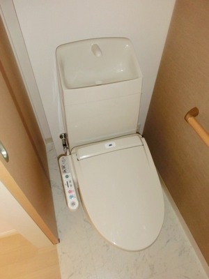 Toilet. Toilet with warm water washing toilet seat