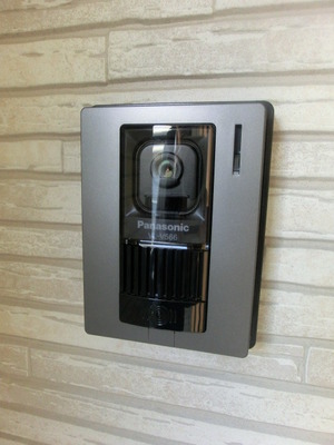 Security. Intercom with security TV monitor