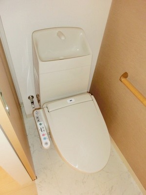 Toilet. Toilet with warm water washing toilet seat