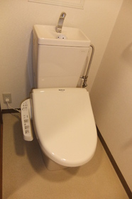 Toilet. Washlet comes with.