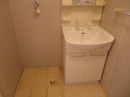 Washroom. With a convenient shampoo dresser