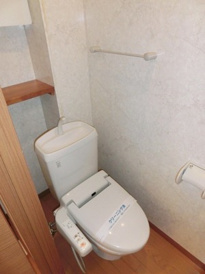 Toilet. It is a toilet with a wash function