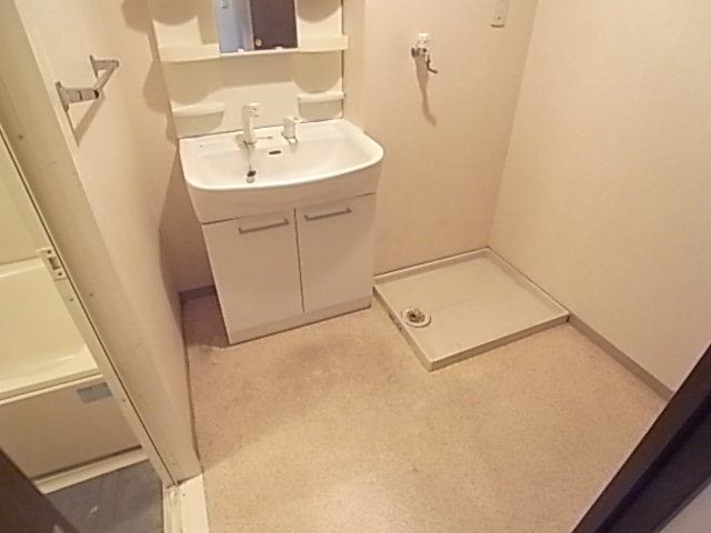 Other. This large basin space!