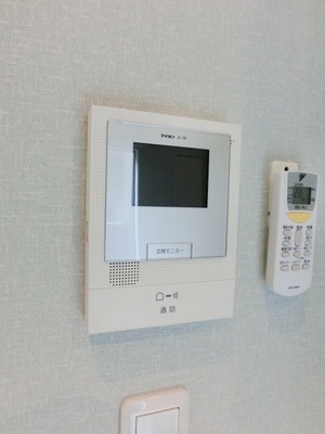 Security. Popular monitor phone