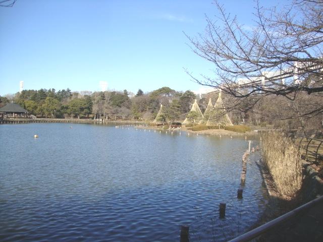 park. 260m to Chiba Park