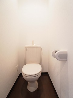 Toilet. Toilet with cleanliness