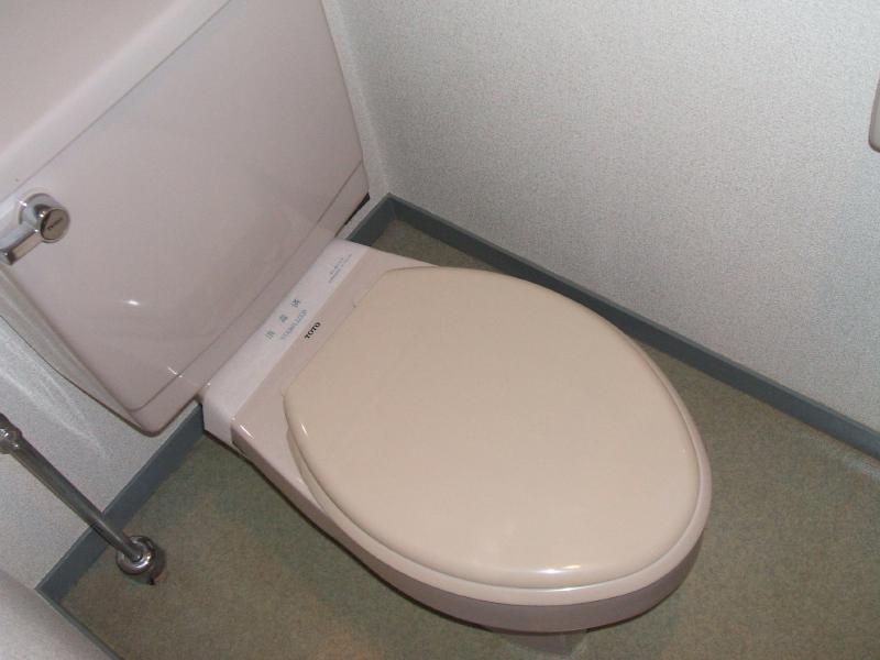 Toilet. Water around also has been constructed to clean