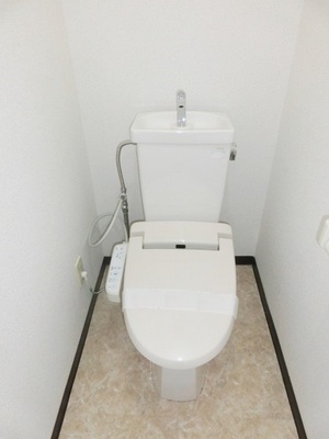 Toilet. Toilet with warm water washing toilet seat