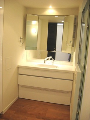 Washroom. Wash basin with a convenient cleanliness in the morning of the dressing