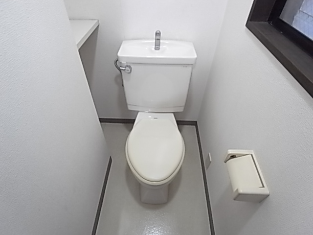 Other. It is a toilet with a clean