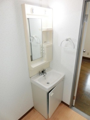 Washroom. Convenient independent vanity