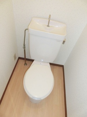 Toilet. Toilet